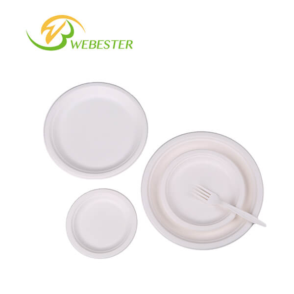 Sugarcane Bagasse Plates