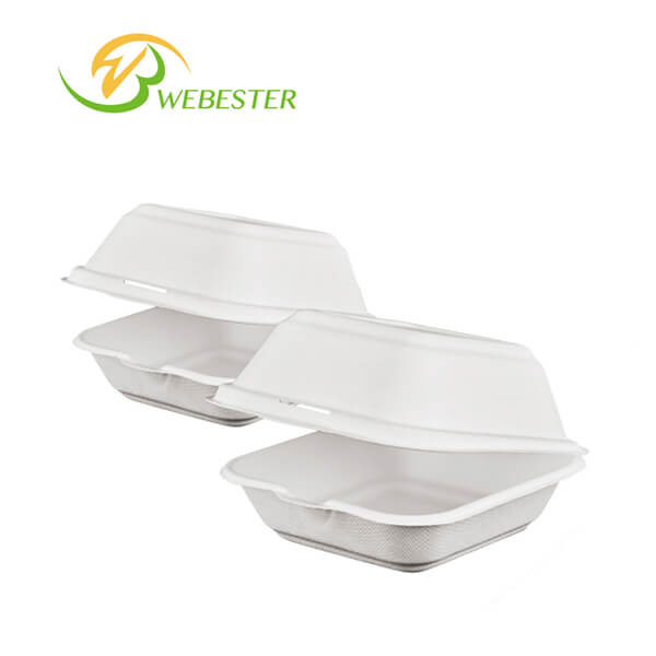 Sugarcane Bagasse Box