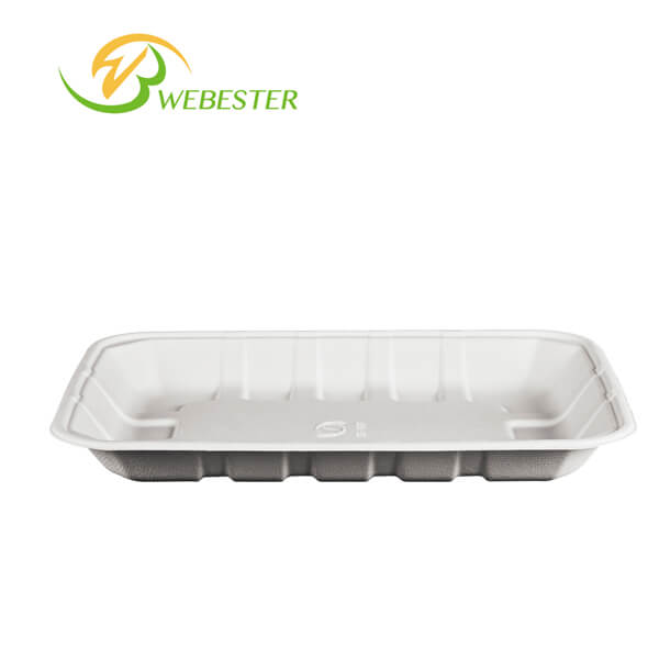 Sugarcane Bagasse Trays