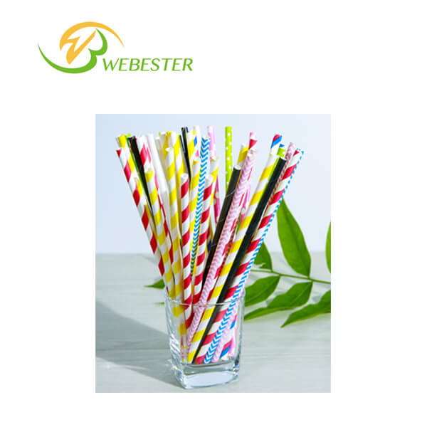 Paper Straws